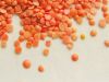 566617_seeds