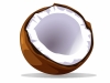 1273219_coconut_